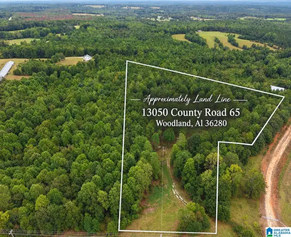 13050 COUNTY ROAD 65, Woodland, AL 36280
