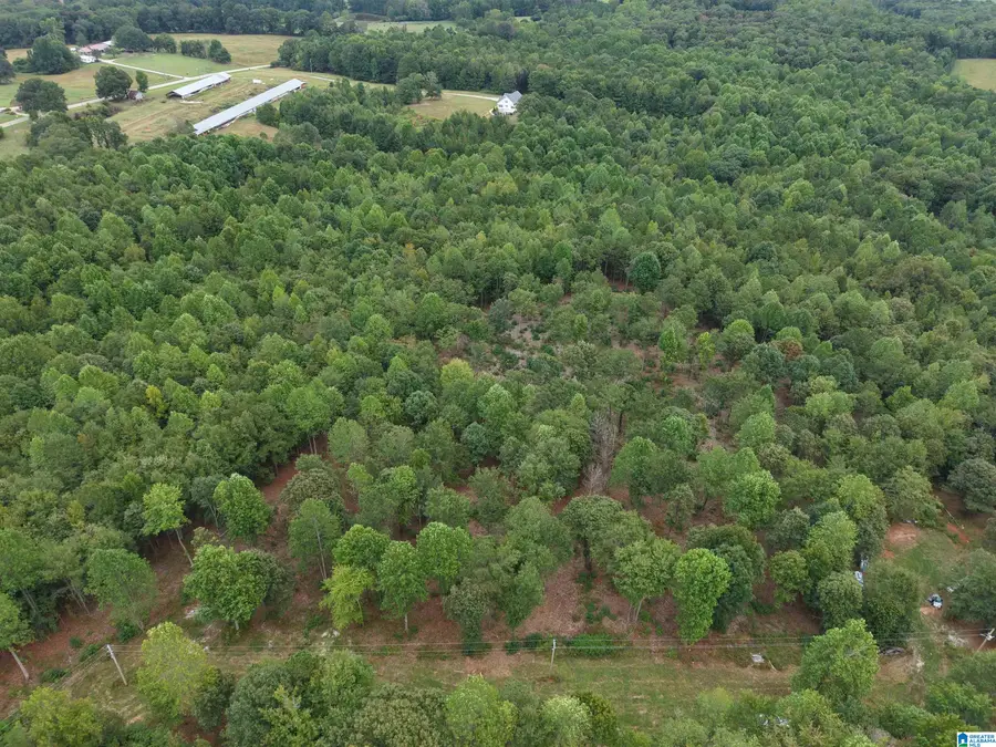13050 COUNTY ROAD 65, Woodland, AL 36280 - #3