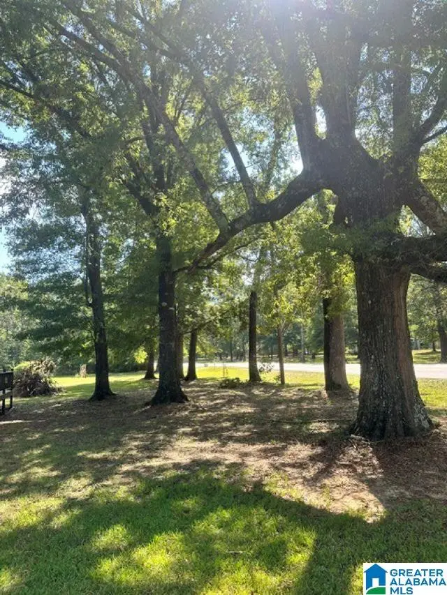 4975 HIGHWAY 47, Shelby, AL 35143 - #2