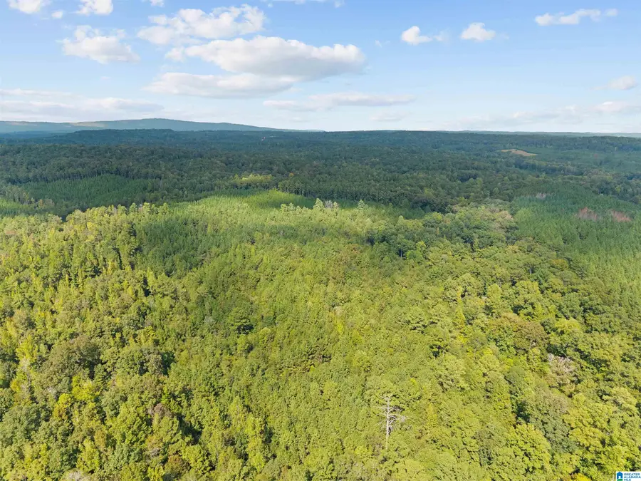 0 OKALONA ROAD, Pell City, AL 35128 - #3