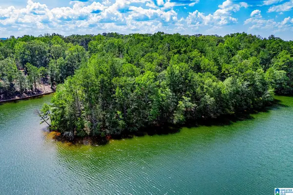 4.77 acres COUNTY ROAD 247, Wedowee, AL 36278
