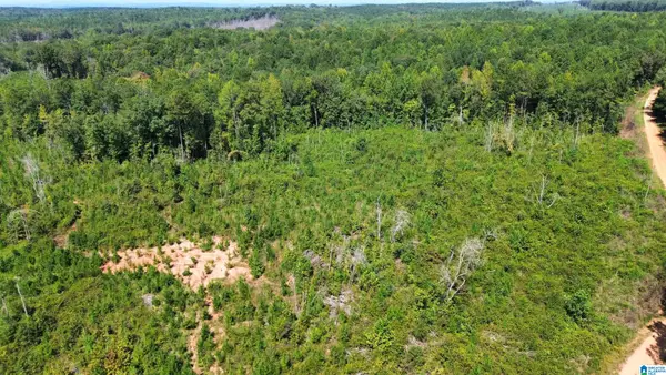0 BIG WOODS ROAD, Alexander city, AL 35010