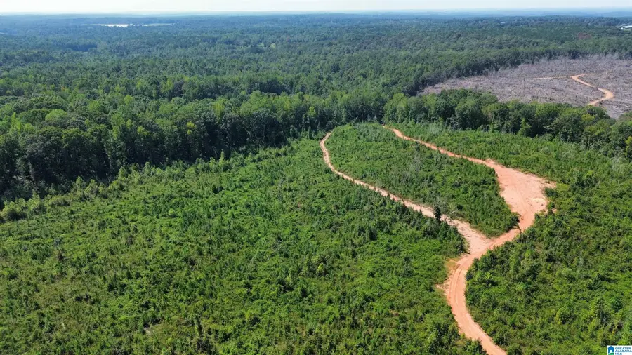 0 BIG WOODS ROAD, Alexander City, AL 35010 - #2