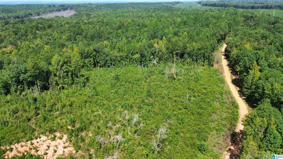 0 BIG WOODS ROAD, Alexander City, AL 35010 - #3