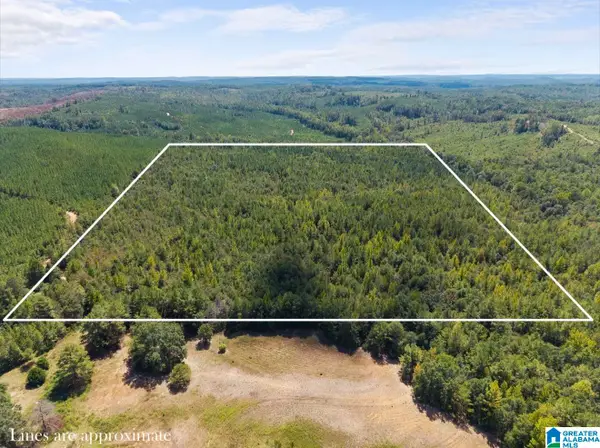 0 COUNTY ROAD 750, Plantersville, AL 36758
