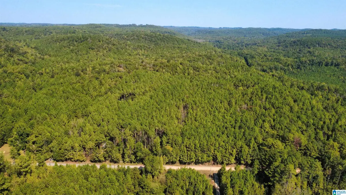 275 PENDLEY CREEK ROAD, Oakman, AL 35579 - #1