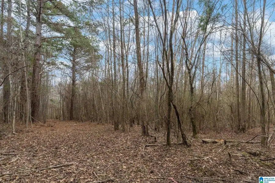 Lot #17 NORTHSIDE ROAD, Berry, AL 35546 - #3