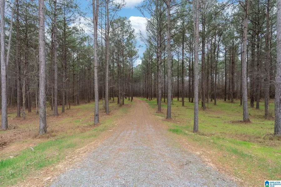 Lot #18 NORTHSIDE ROAD, Berry, AL 35546 - #3