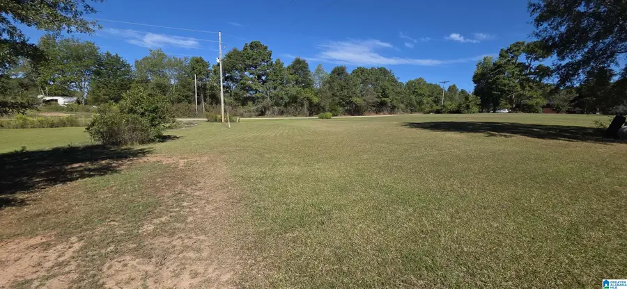 14178 COUNTY ROAD 87, Woodland, AL 36280 - #2