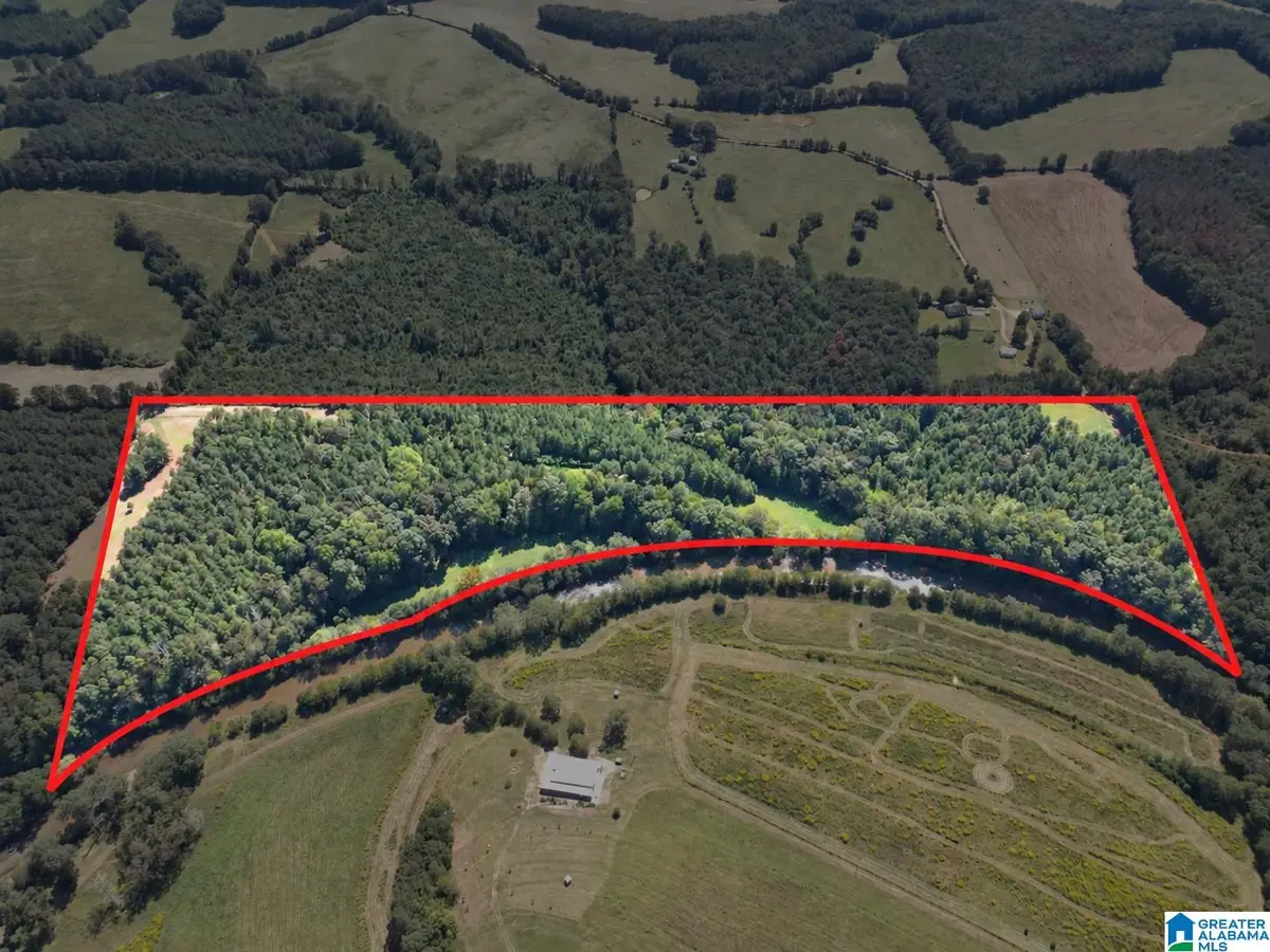 40+/- Acres COUNTY ROAD 457, Woodland, AL 36280 - #1
