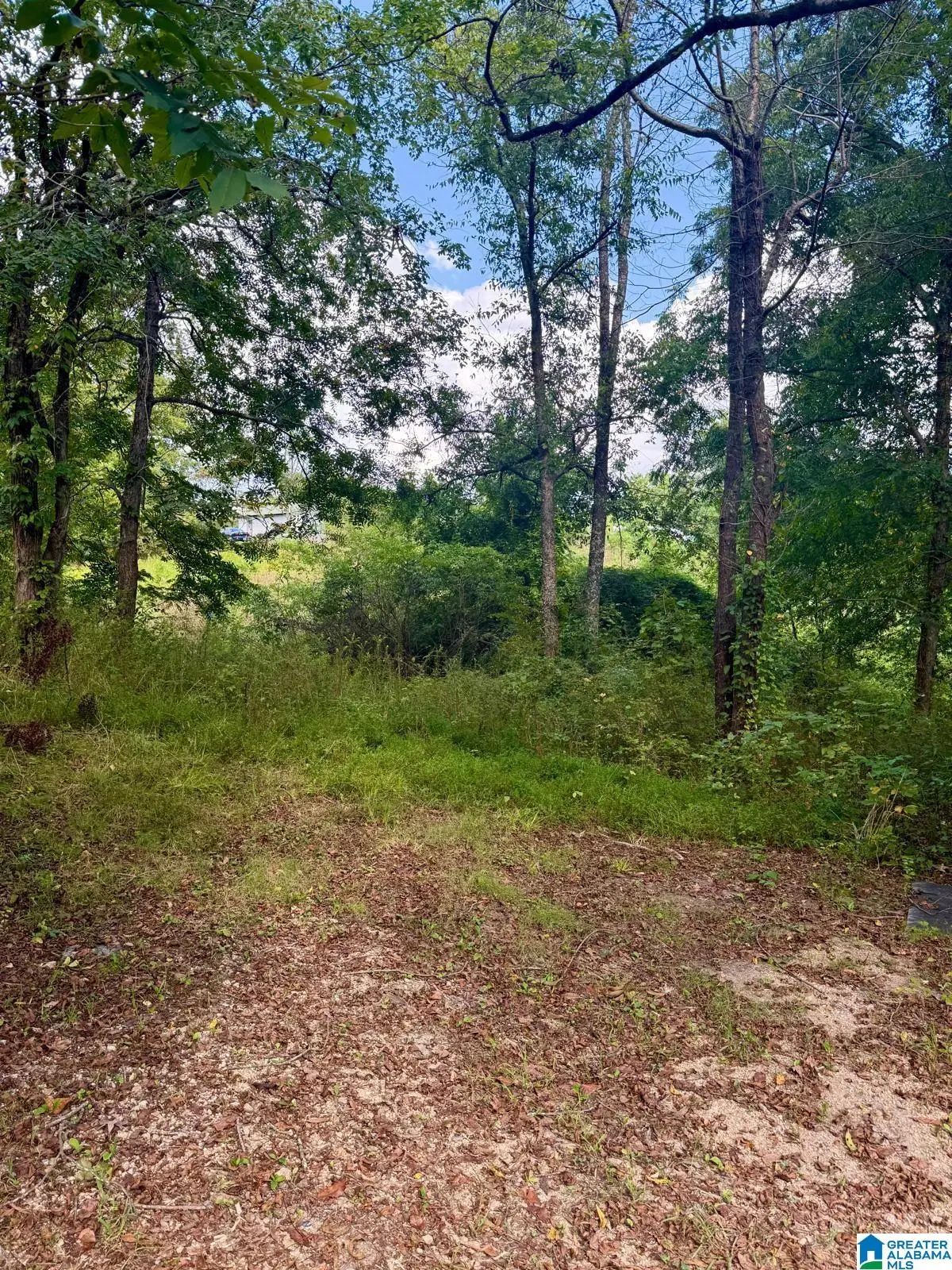 7526 CAHABA AVENUE, Leeds, AL 35094 - #1