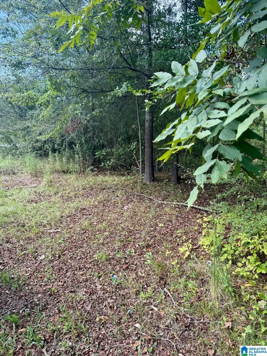 7526 CAHABA AVENUE, Leeds, AL 35094 - #2