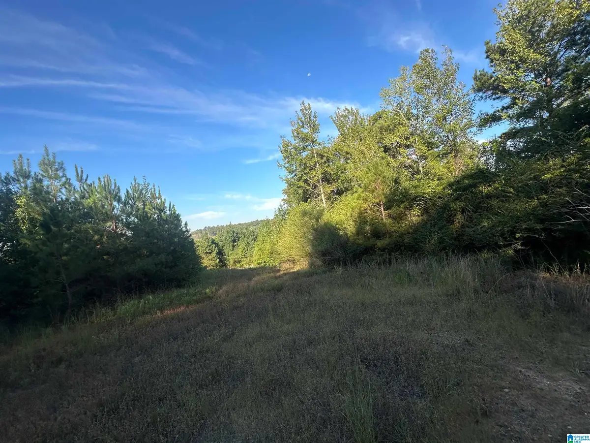 0 COUNTY ROAD 317, Stanton, AL 36790 - #1