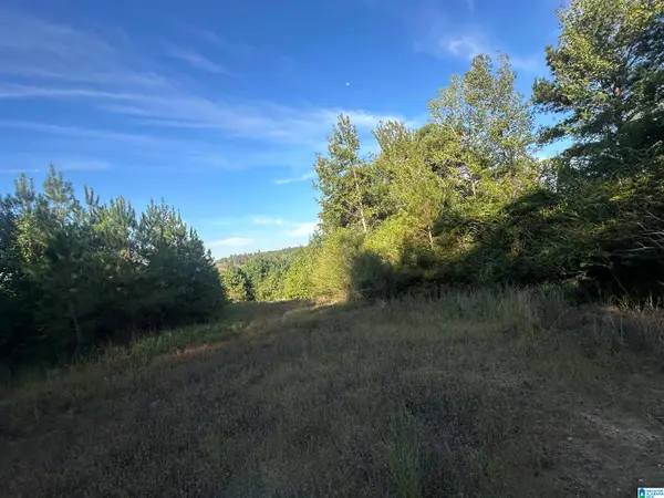 0 COUNTY ROAD 317, Stanton, AL 36790