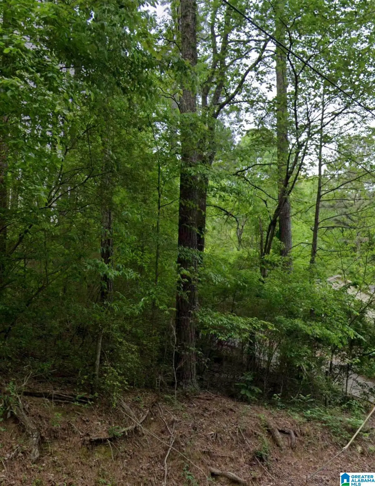 1722 BIG MOUNTAIN DRIVE, Birmingham, AL 35235 - #1