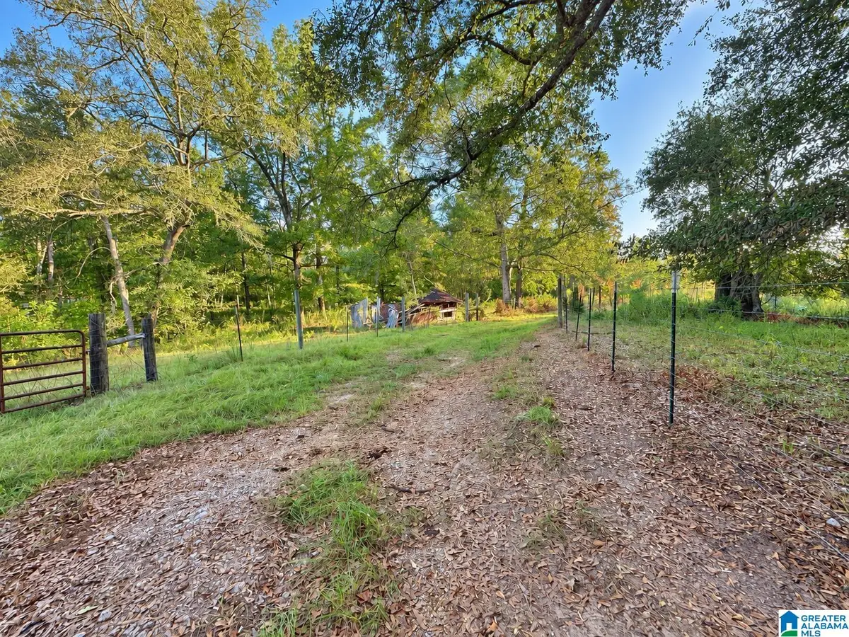 0 COUNTY ROAD 319, Stanton, AL 36790 - #1