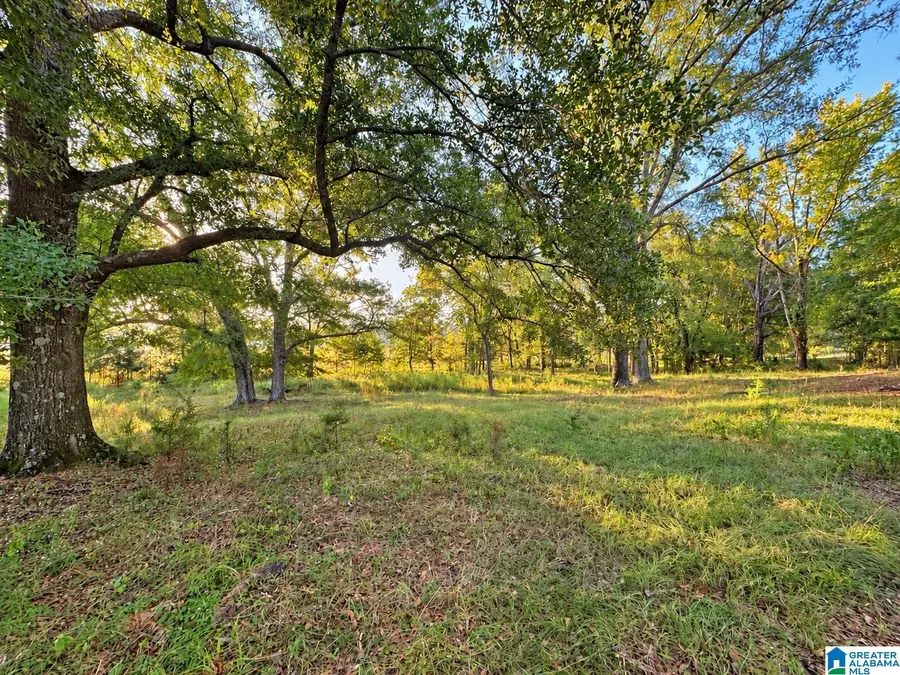 0 COUNTY ROAD 319, Stanton, AL 36790 - #2