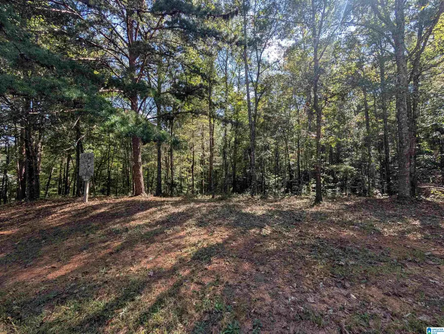 4809 LAUREL TRACE, Anniston, AL 36207 - #3
