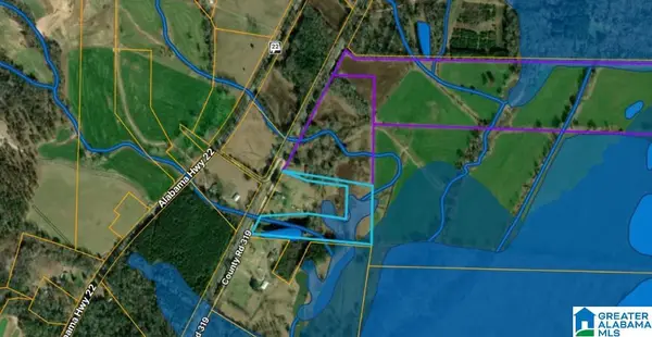 0 COUNTY ROAD 319, Stanton, AL 36790