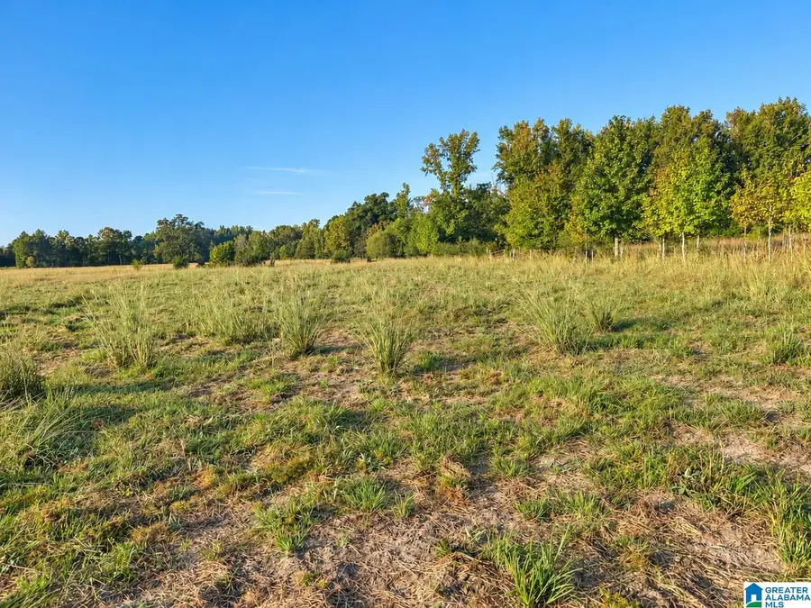 0 COUNTY ROAD 319, Stanton, AL 36790 - #2