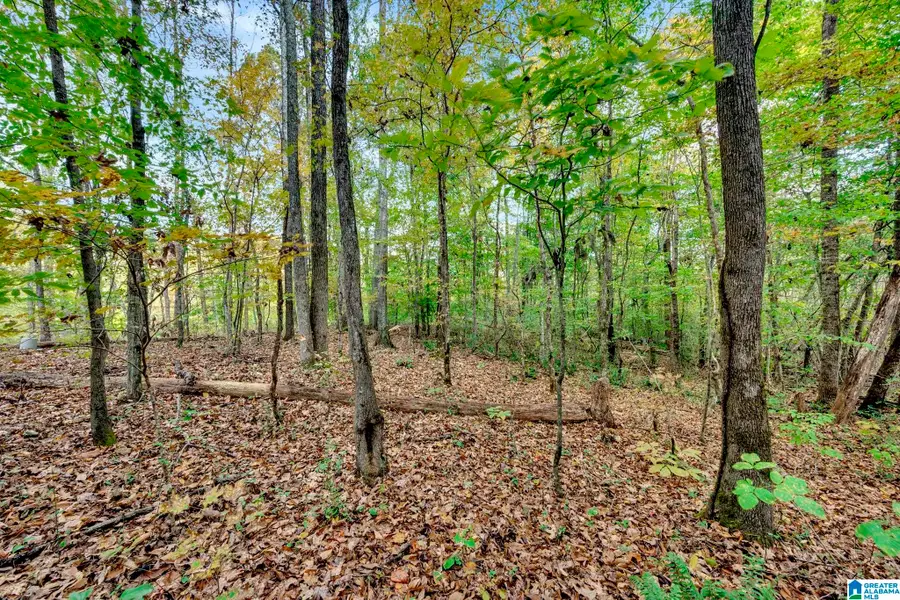 4501 MCGILL TERRACE, Hoover, AL 35226 - #3