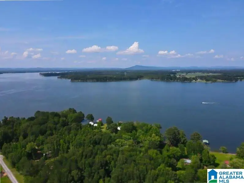 1143 COUNTY ROAD 1011, Centre, AL 35960 - #2