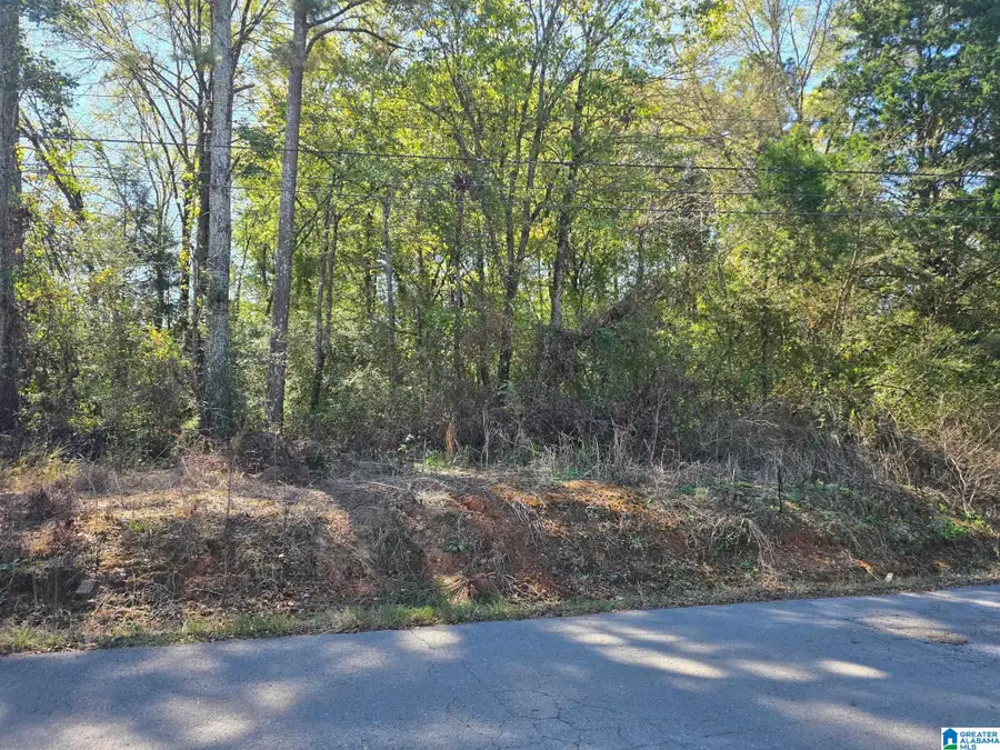lot 3 UNION HILL CHURCH ROAD, Hanceville, AL 35077 - #2