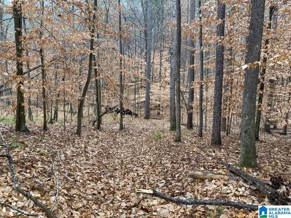 6809 HIGHWAY 11, Pelham, AL 35124