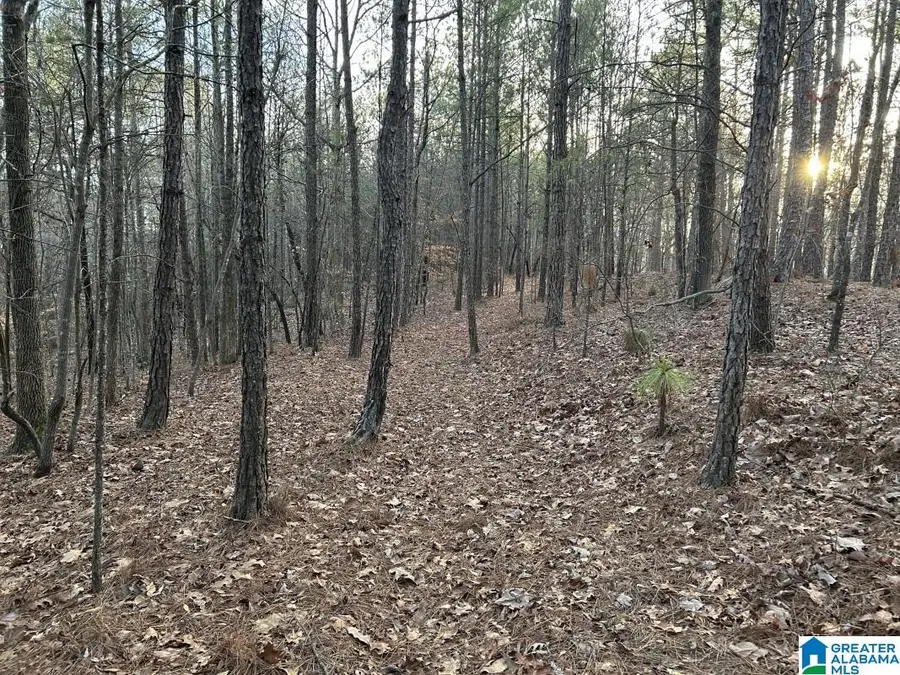 6809 HIGHWAY 11, Pelham, AL 35124 - #2
