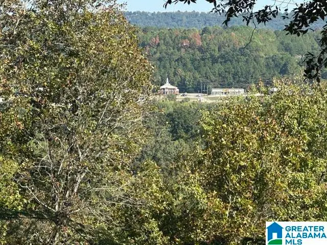 318 TRADEWINDS CIRCLE, Alabaster, AL 35007 - #3