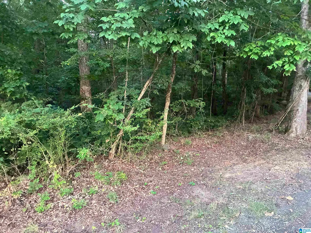 1119 SHORTOWN BRANCH ROAD, Bessemer, AL 35023 - #1