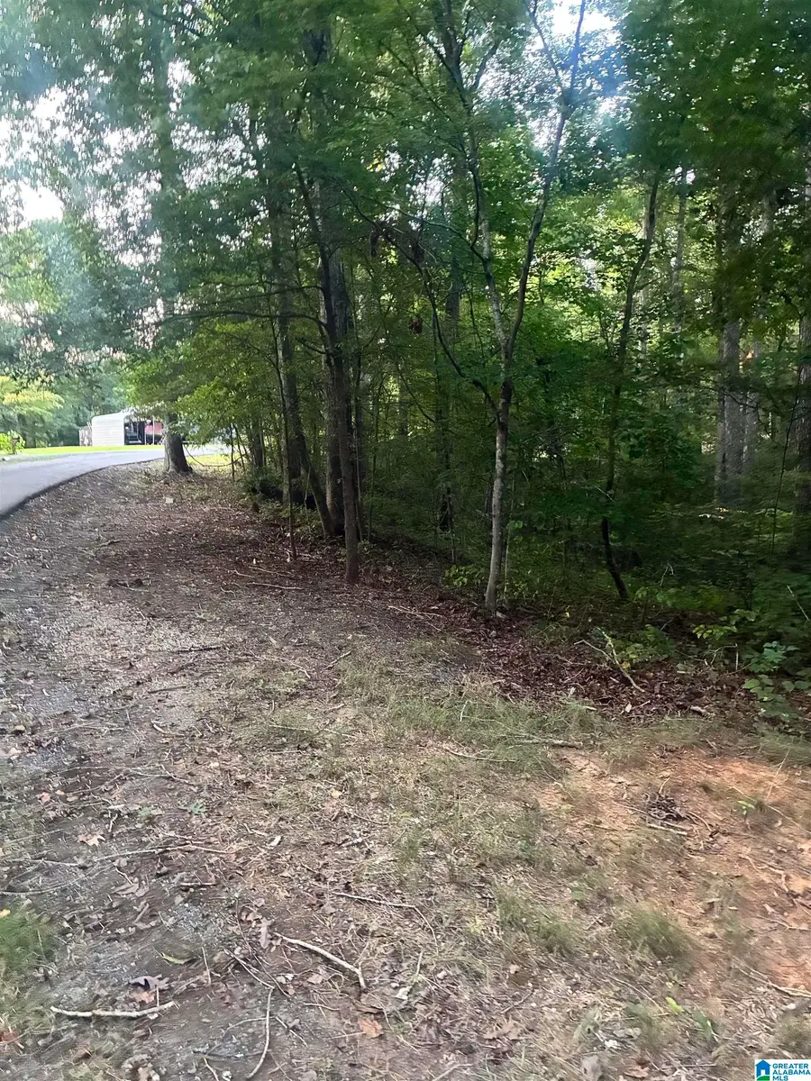1119 SHORTOWN BRANCH ROAD, Bessemer, AL 35023 - #2