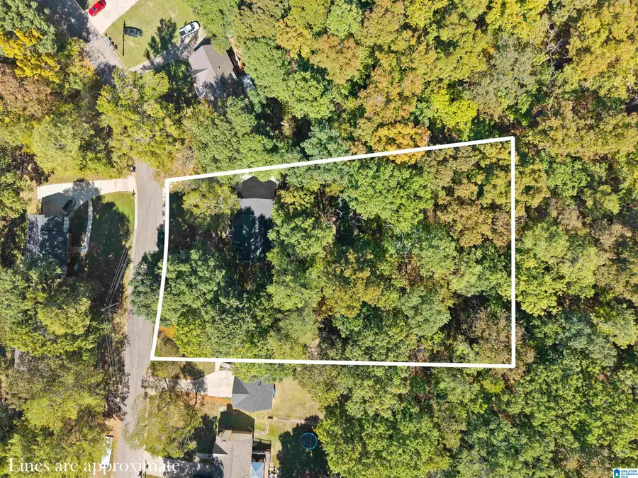 2555 VERA CRUZ DRIVE, Birmingham, AL 35235 - #2