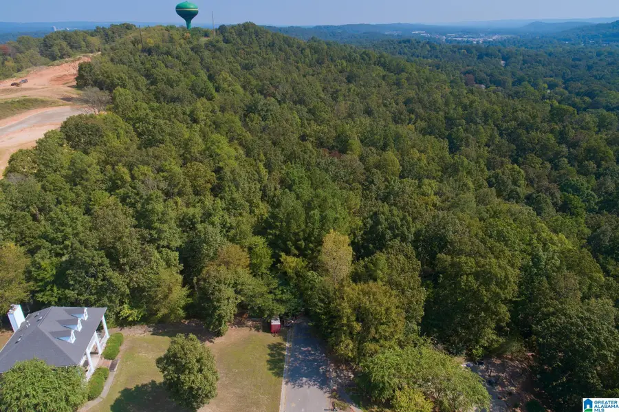 ROUND HILL ROAD, Pelham, AL 35124 - #2