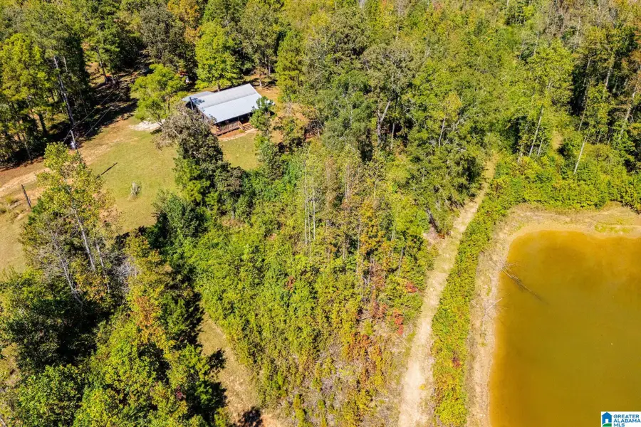 1005 COUNTY ROAD 204, Heflin, AL 36264 - #2