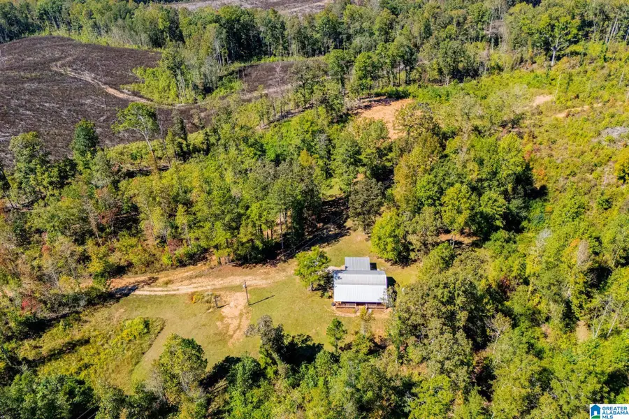 1005 COUNTY ROAD 204, Heflin, AL 36264 - #3