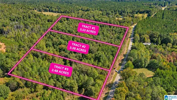 Tract 3 LEES BRIDGE ROAD, Delta, AL 36258