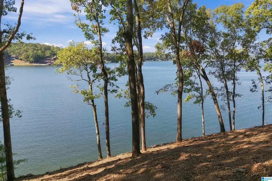 1205 LAKE RIDGE LANE, Talladega, AL 35160 - #3