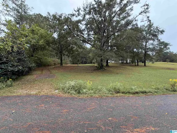 96 HUBBARD ROAD, Sylacauga, AL 35151