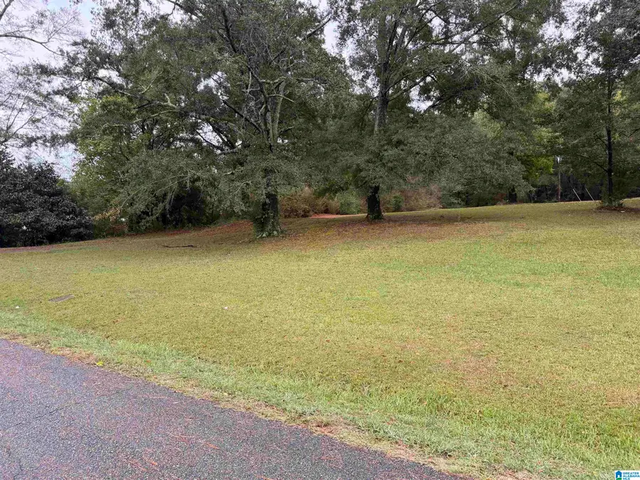96 HUBBARD ROAD, Sylacauga, AL 35151 - #2