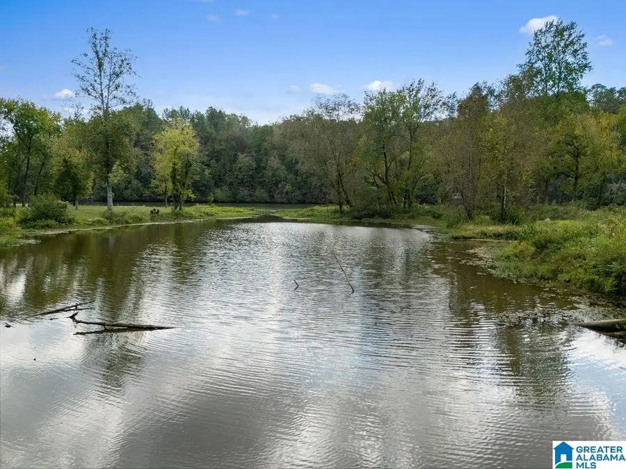 266 MULBERRY HOLLOW, Cordova, AL 35550 - #3