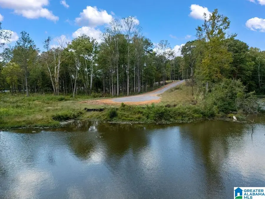 210 MULBERRY AVENUE, Cordova, AL 35550 - #3