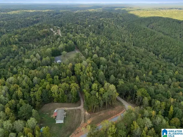 176 MULBERRY HOLLOW, Cordova, AL 35550