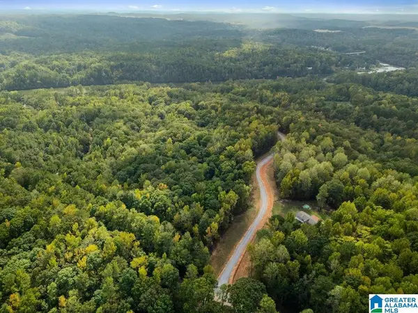 27 MULBERRY HOLLOW, Cordova, AL 35550
