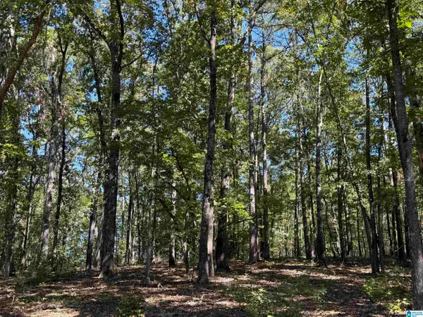 0 COUNTY ROAD 701, Roanoke, AL 36274