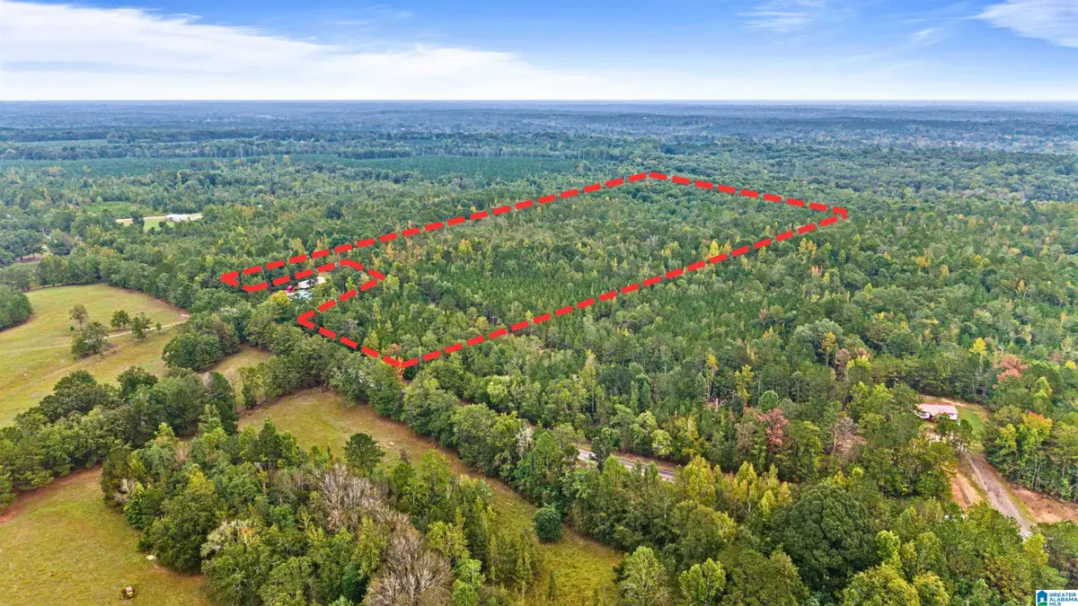 00 HIGHWAY 239, Banks, AL 36005 - #1