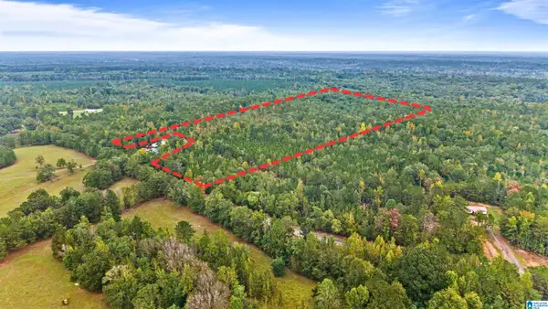 00 HIGHWAY 239, Banks, AL 36005