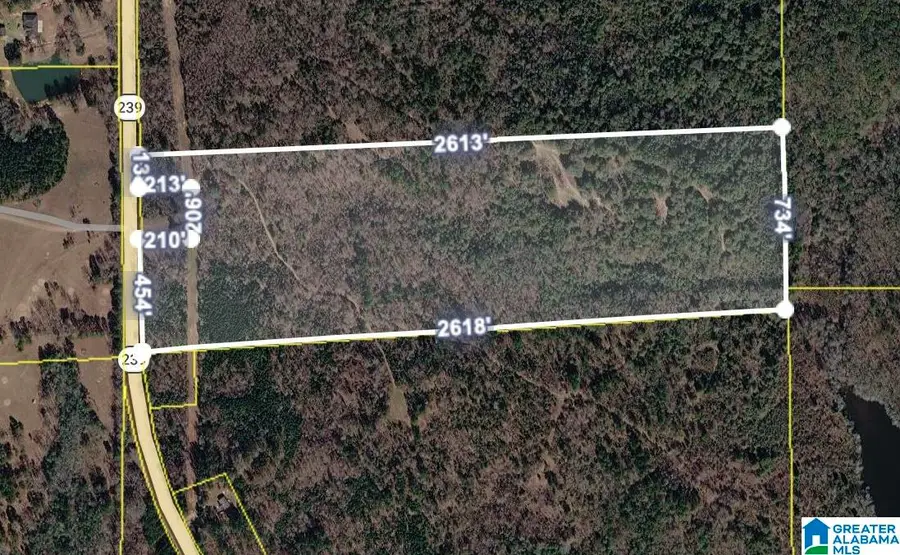 00 HIGHWAY 239, Banks, AL 36005 - #2