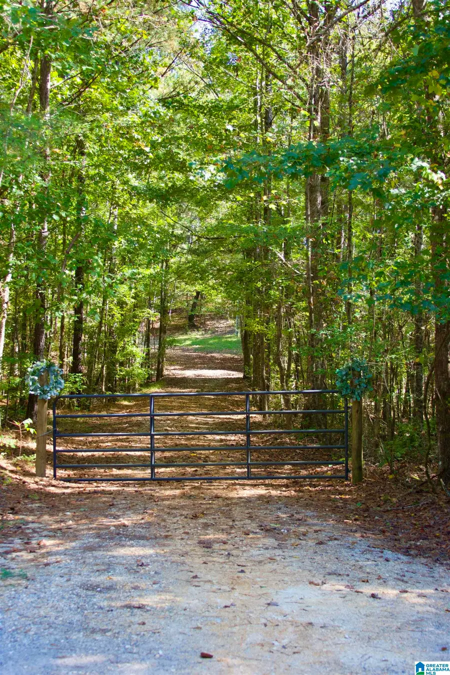 2500 NUNNALLY LAKE ROAD, Ohatchee, AL 36271 - #3