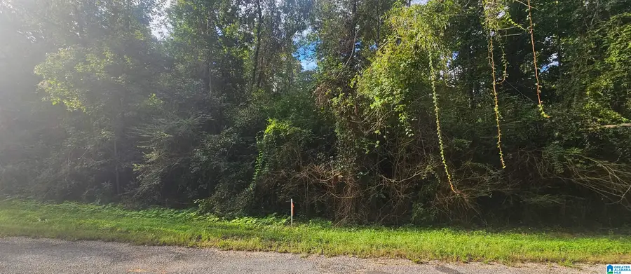 16 VALLEY CROSSING, Valley Grande, AL 36703 - #2